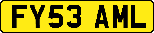 FY53AML