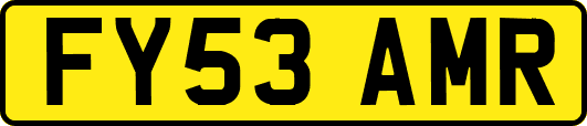 FY53AMR