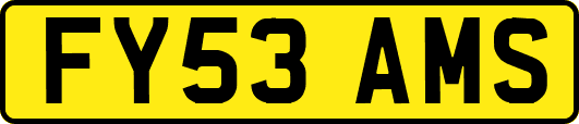 FY53AMS