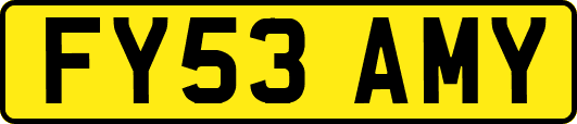 FY53AMY