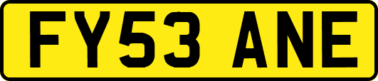 FY53ANE