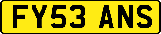 FY53ANS