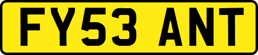 FY53ANT