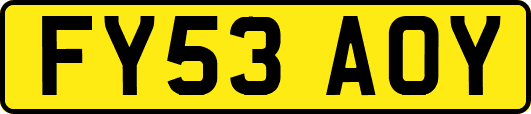 FY53AOY