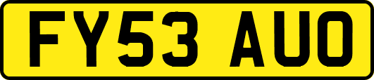 FY53AUO