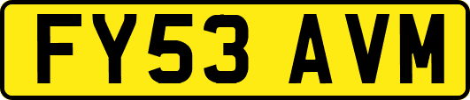 FY53AVM