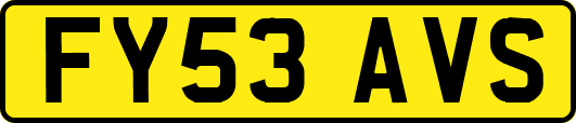 FY53AVS