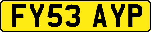 FY53AYP