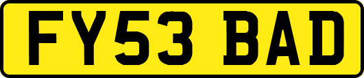 FY53BAD