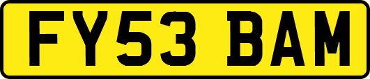 FY53BAM