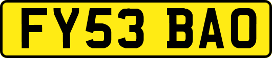 FY53BAO