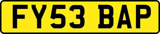 FY53BAP