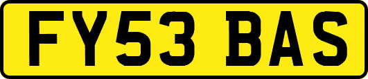 FY53BAS