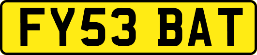 FY53BAT
