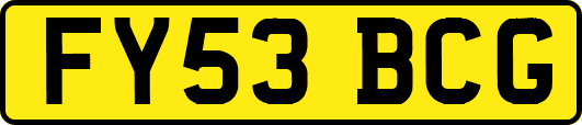 FY53BCG