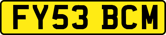 FY53BCM