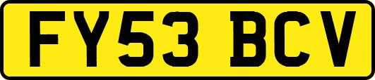 FY53BCV