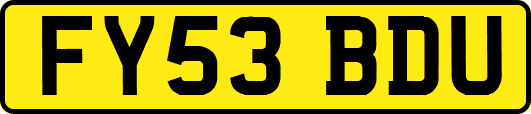 FY53BDU