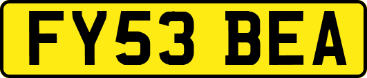 FY53BEA