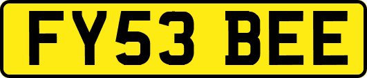 FY53BEE