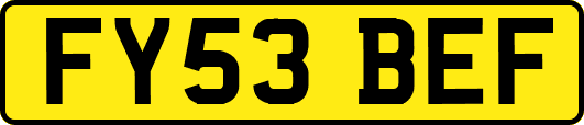FY53BEF