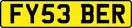 FY53BER