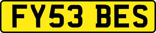 FY53BES