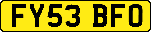 FY53BFO