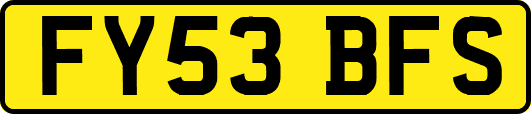 FY53BFS