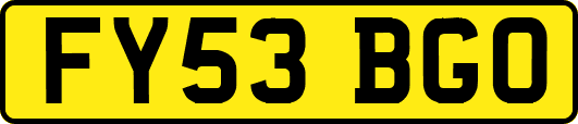 FY53BGO