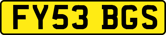 FY53BGS