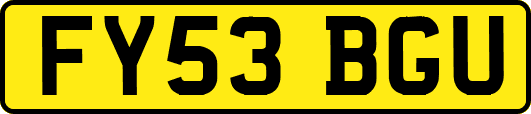 FY53BGU
