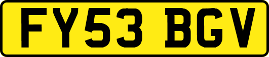 FY53BGV