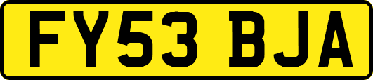 FY53BJA
