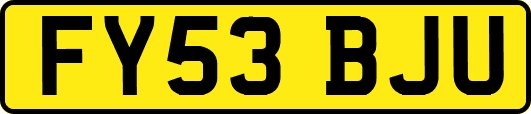 FY53BJU