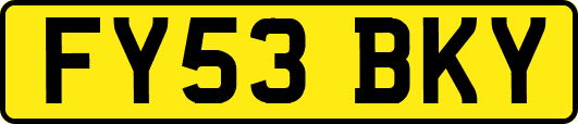 FY53BKY