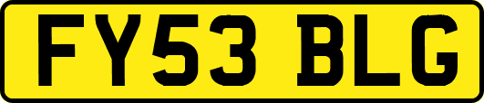 FY53BLG