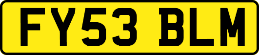 FY53BLM
