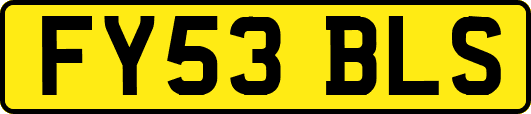 FY53BLS