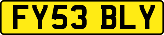 FY53BLY