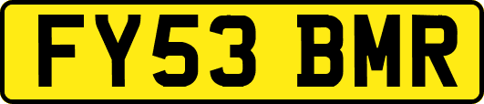 FY53BMR