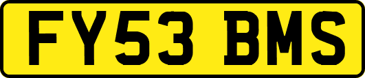FY53BMS
