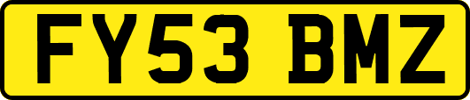 FY53BMZ