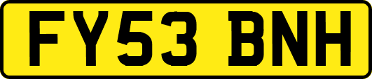 FY53BNH