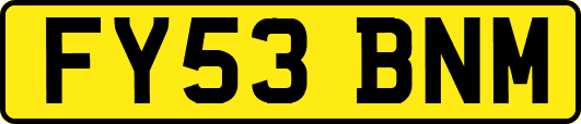 FY53BNM