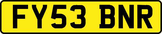 FY53BNR