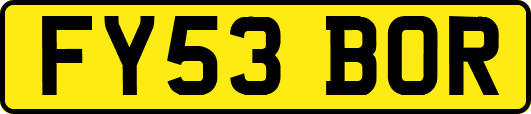 FY53BOR