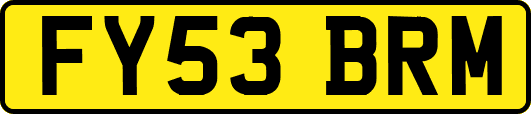 FY53BRM