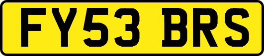 FY53BRS