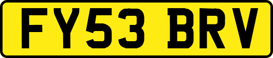 FY53BRV